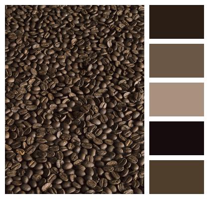 Coffee Texture Coffee Beans Image